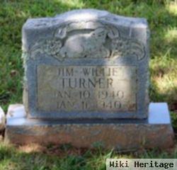 Jim Willie Turner