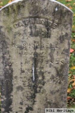 Catharine Shopbell