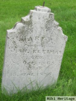 Mary A Kleiman