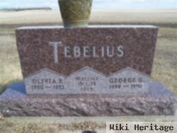 George G. Tebelius, Jr