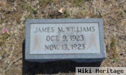 James M. Williams