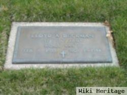 Lloyd Alger Deckman