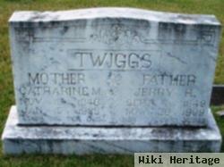 Jerry H Twiggs