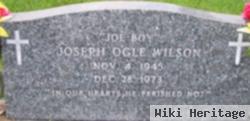 Joseph Ogle "joe Boy" Wilson