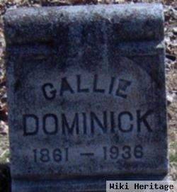 Gallie Dominick