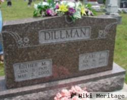 Carl Teel Dillman