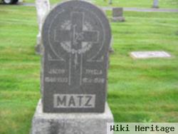 Jacob S Matz