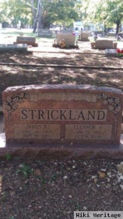 James Richard "jim" Strickland