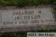 Sheldon A Jacobson