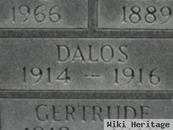 Dalos Nester