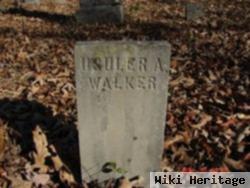 Usuler A. Walker