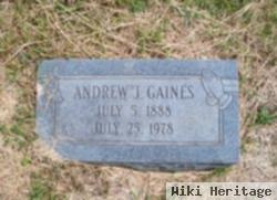 Andrew J Gaines