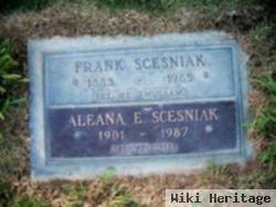 Frank Scesniak