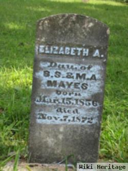 Elizabeth A. Mayes