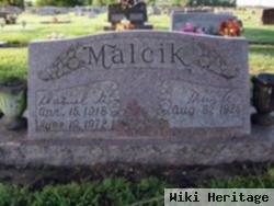 Daniel G Malcik