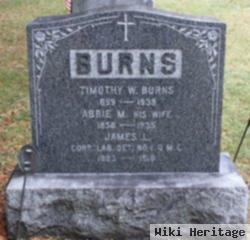 Timothy W Burns