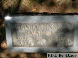 Elisha Pinkney Martin