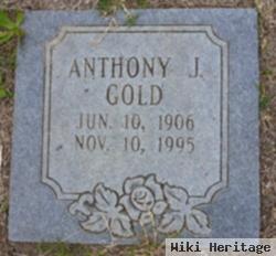 Anthony J Gold