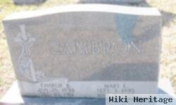 Mary Elizabeth Smith Cambron