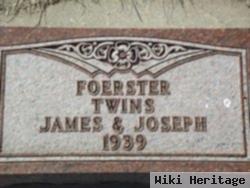 Joseph E. Foerster