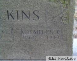 Charles V Elkins