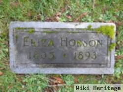 Eliza Turner Hobson