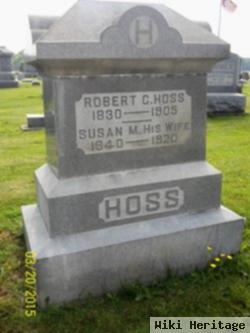 Susan M Hoss