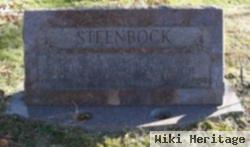 Roy H Steenbock