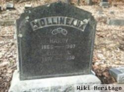 Lizzie A. Erlewein Mollineaux