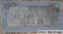 Mary Elizabeth Johnson