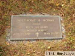 Anthony B Novak