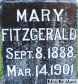 Mary Fitzgerald