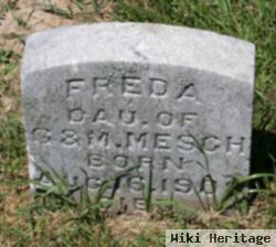 Freda Mesch