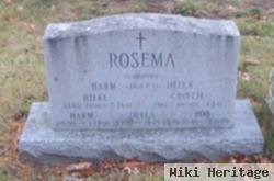 Harm Rosema