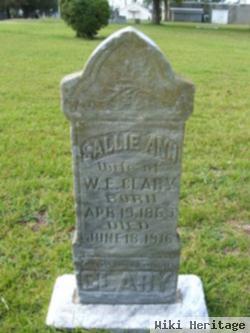 Sallie Ann Clary