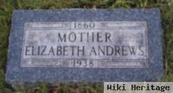 Elizabeth Ann Vincent Andrews