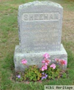 Joseph Sheehan