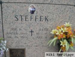 Joe F Steffek