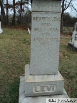 Henry M. Levi