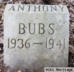 Bubs Anthony