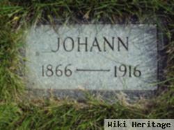 Johann Hangs