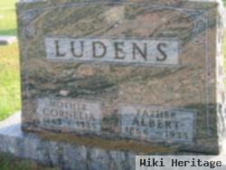 Albert Ludens