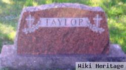 Large Stone Taylor