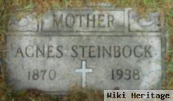 Agnes B. Elsenbach Steinbock