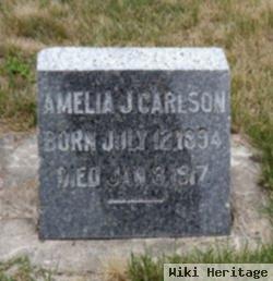 Amelia J. Carlson