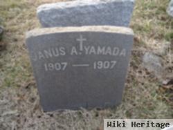Janus A. Yamada