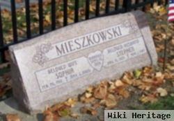 Stephen Mieszkowski