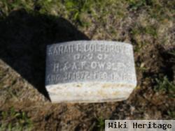 Sarah E. Owsley Colegrove