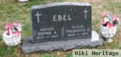 Theodore C Ebel