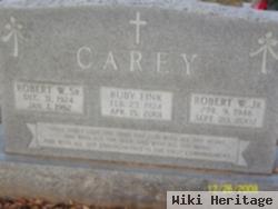 Robert W Carey, Jr